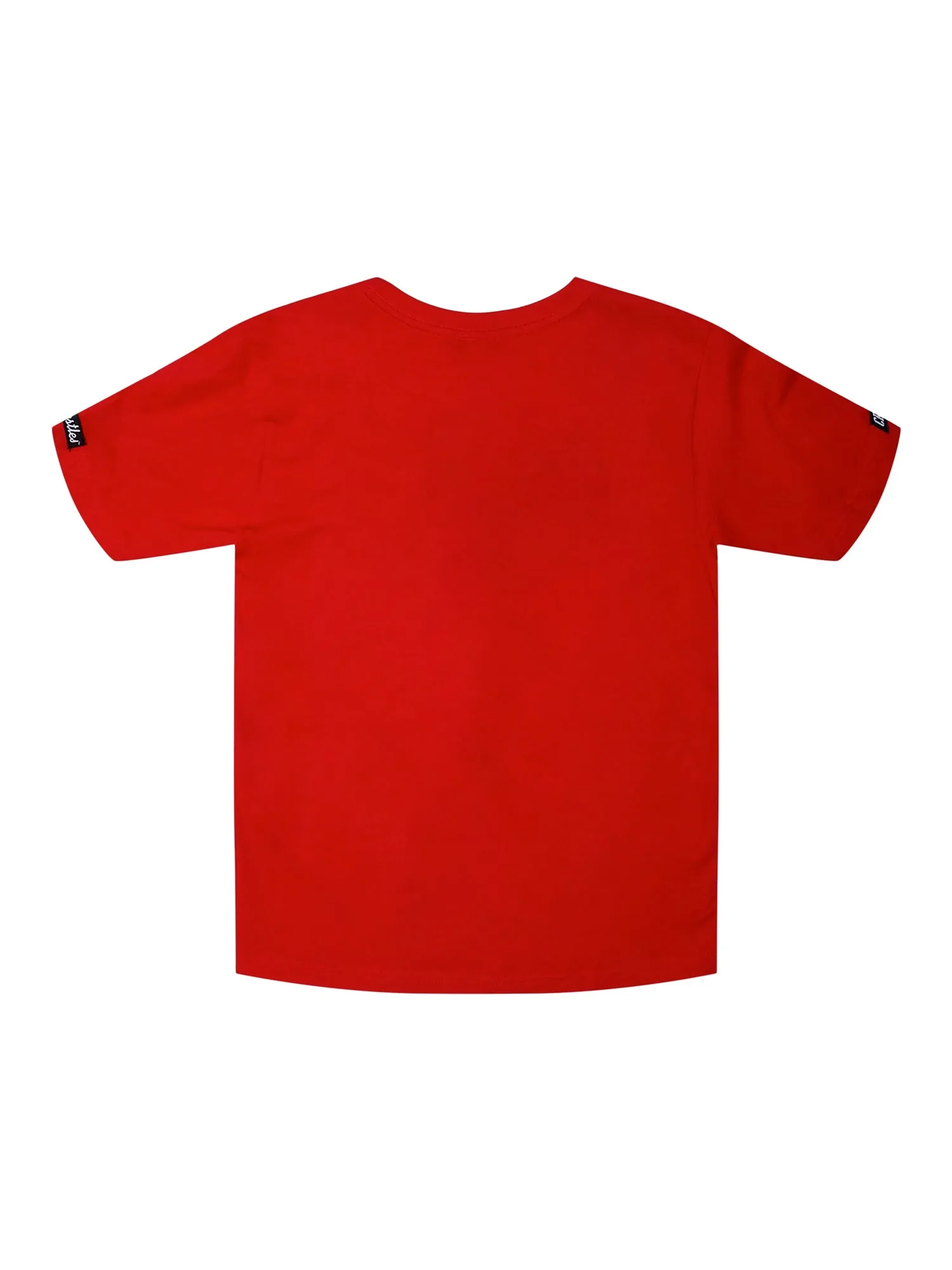 CROOKS & CASTLES YOUTH BOYS KLEPTO PAISLEY KIDS T-SHIRT - CLEARANCE