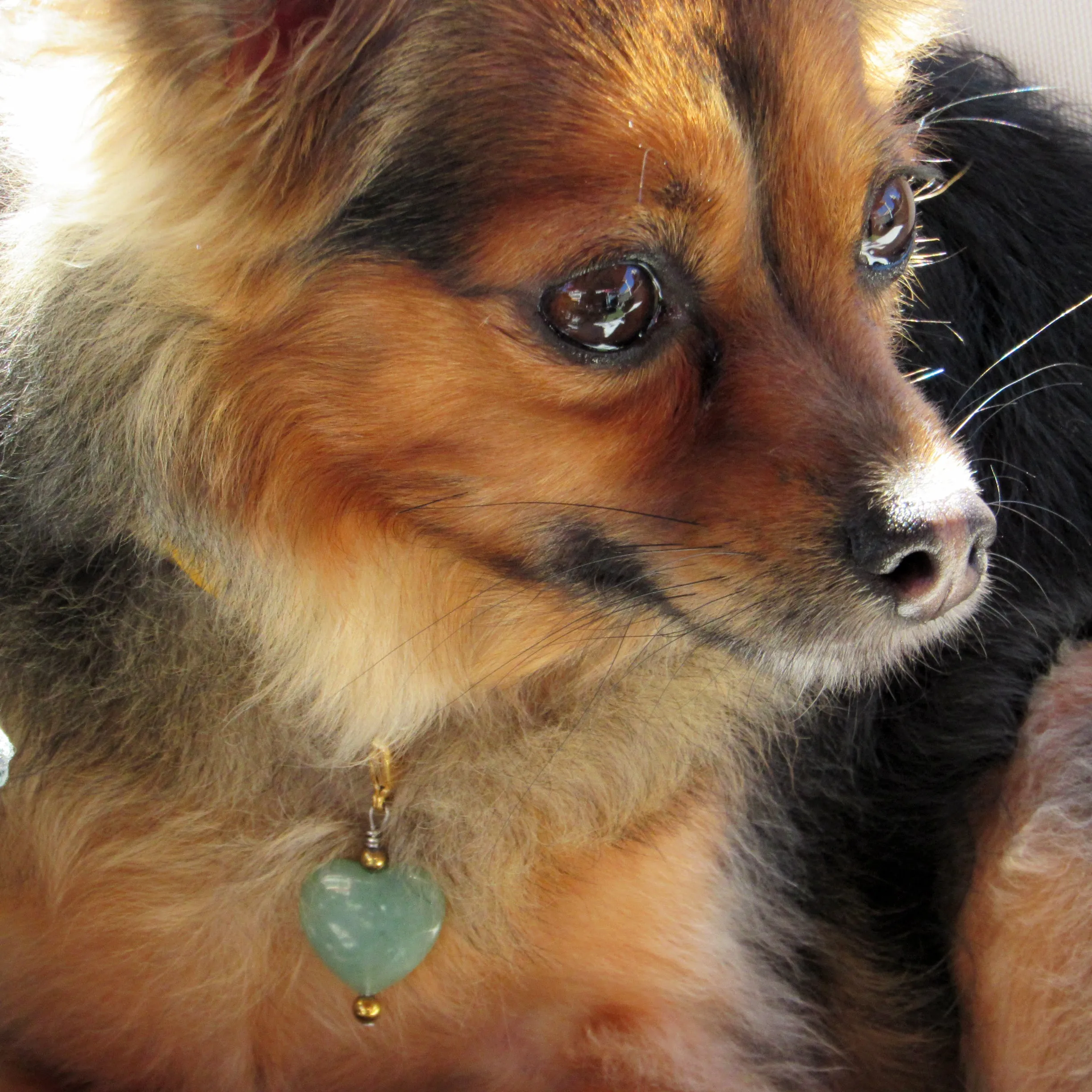 Green aventurine heart and hematite pet collar charm