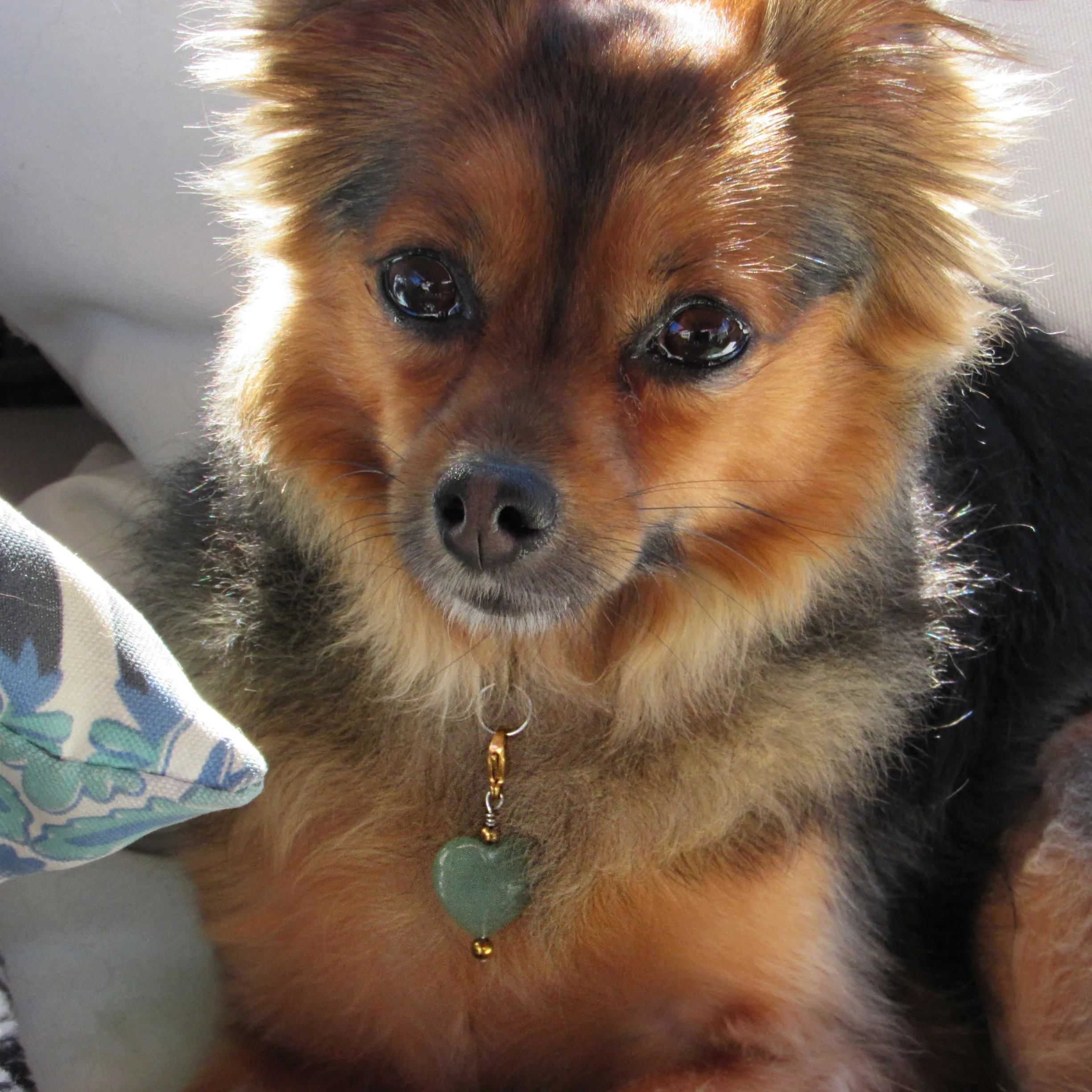 Green aventurine heart and hematite pet collar charm