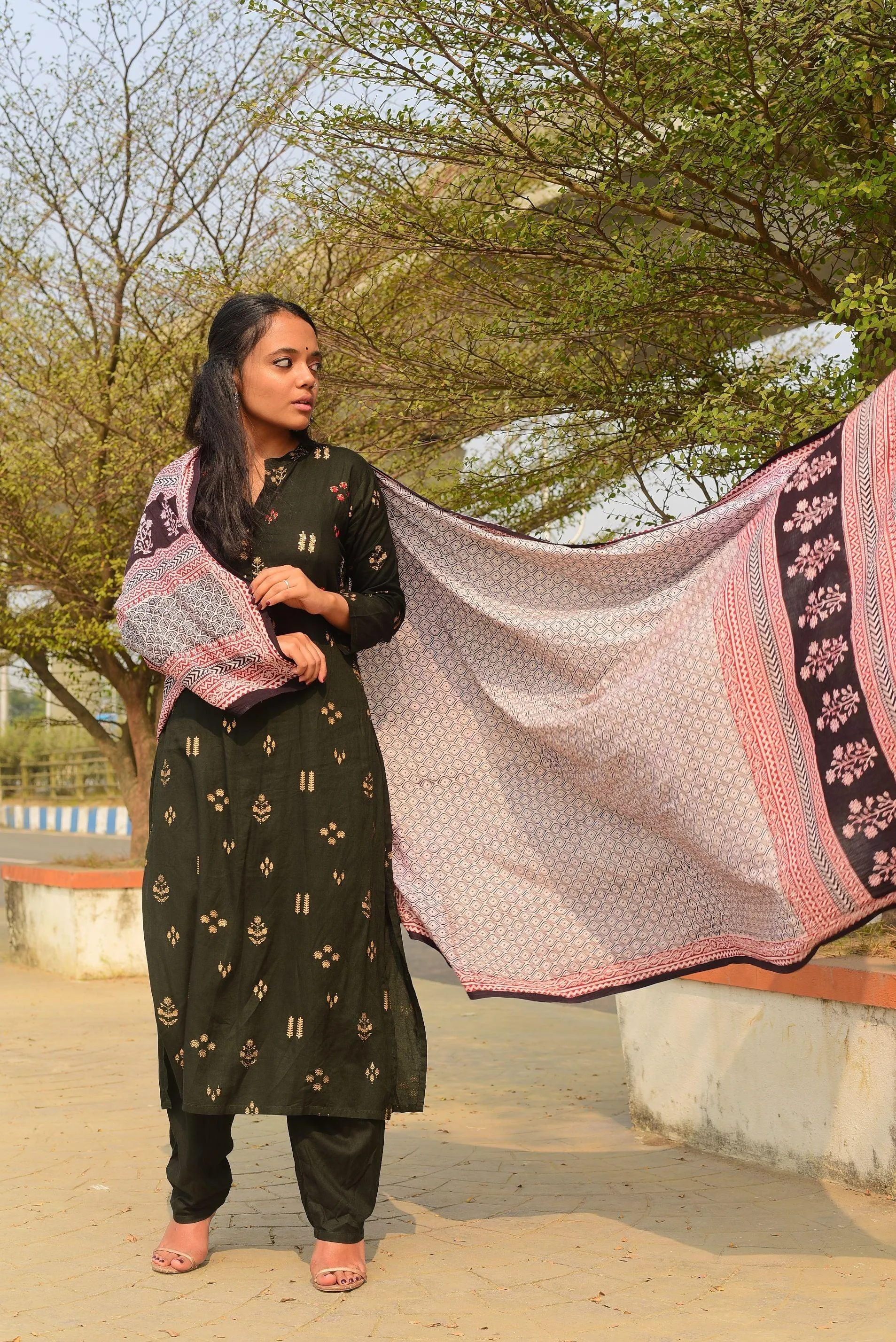 Kaisori Nandana collection - Bagh black honey comb block printed dupatta